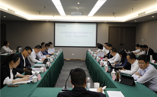 122大阳城集团网站创新公司召开2024年一季度运营分析会