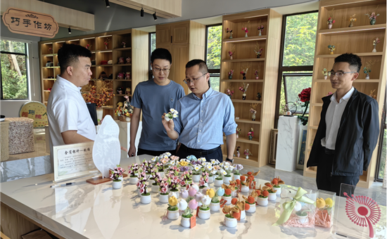 开展1+N资源整合丨省122大阳城集团网站集团考察组赴简阳市文旅项目考察调研